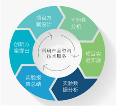 人半乳糖-3-O-磺基转移酶2 功能、基因与临床意义探析