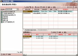 邦永科技 引领项目管理软件开发新浪潮，助力企业数字化转型