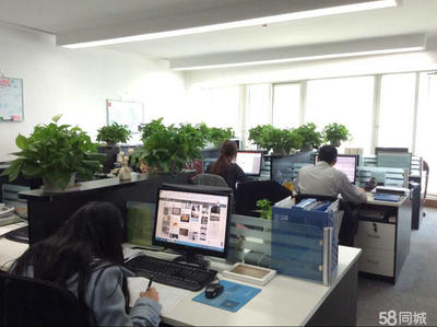 北京泰沃公关软件开发 创新驱动与行业应用